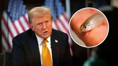 Трамп звинуватив маленьку рибку у масштабних пожежах у Лос-Анджелесі