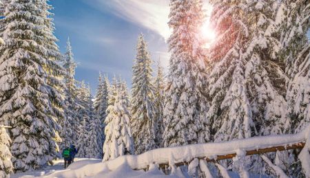 Значне похолодання по всій Україні: прогноз погоди на перші вихідні 2025 року