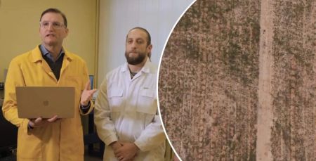 Прорив швейцарських вчених: диво-технологія може нормалізувати рівень радіації у Чорнобильській зоні за 5 років