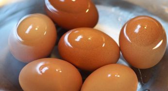 Вчені назвали продукт, який може знизити ризик передчасної смерті