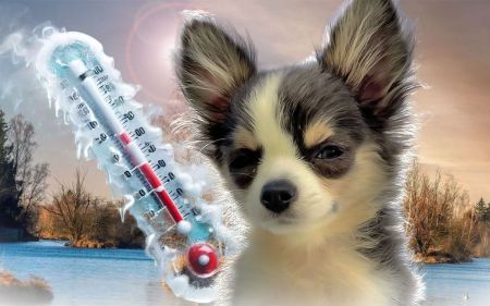 Погода в Україні 10 лютого: де буде найхолодніше і коли піде сніг