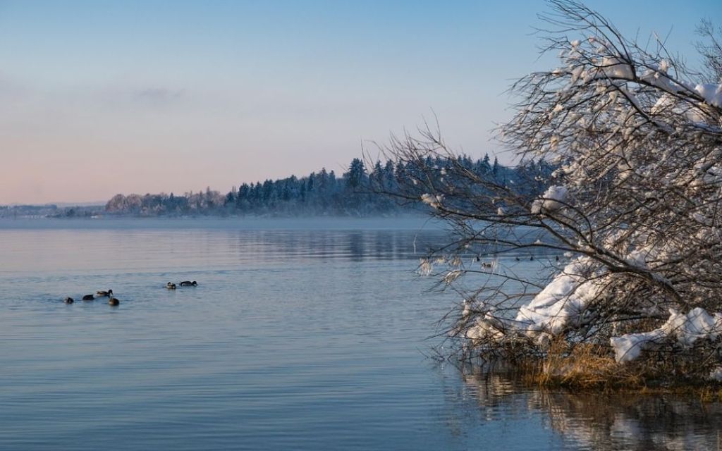 Вдарять морози: названо дату різкого похолодання в Україні