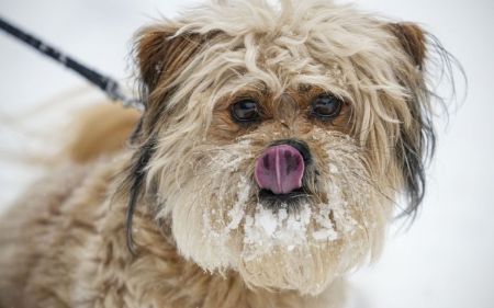 Україну накриє нова хвиля похолодання. Синоптик повідомила, коли будуть сніг і морози