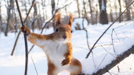 Зима складає валізи: Діденко попередила про погодні зміни в Україні наприкінці лютого