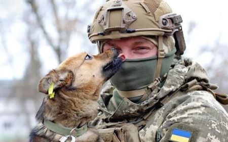 Ухилянтам хочуть дати вибір: пропонують мобілізувати “добровільно”