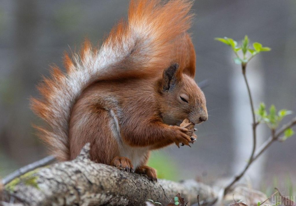 Розігріє до +16°: синоптик повідомив, де в Україні буде найтепліше