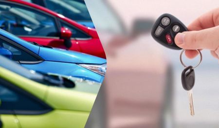 Українці розмітають “японців”: названо три найпопулярніших гібриди місяця