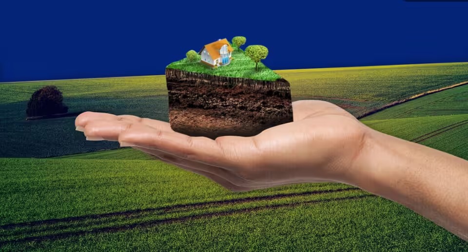 3000 доларів за гектар: українцям розкрили справжню ціну землі