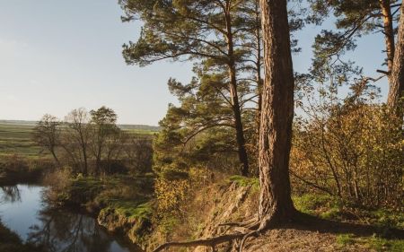 Україну накриють похолодання і дощі – свіжий прогноз погоди