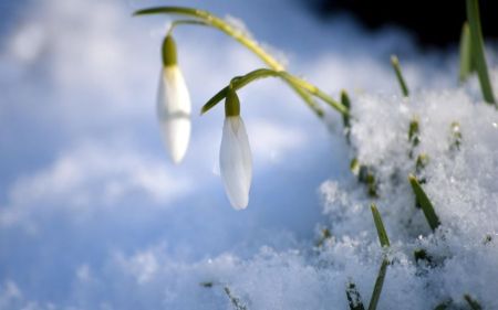 Україну знову накриють морози: де буде найхолодніше