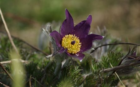 До України йде відчутне потепління: прогноз погоди на понеділок, 3 березня