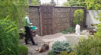 Земля, будинок, город — заберуть все: в Раді ухвалили закон про примусову конфіскацію