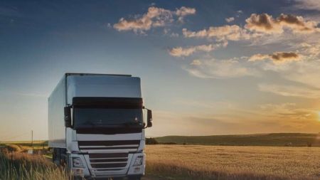 Спалах ящуру в Угорщині: Україна вводить обмеження на ввезення вантажів