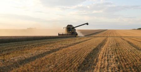 Визначили категорії: кому нададуть відстрочку, а хто має піти до ТЦК