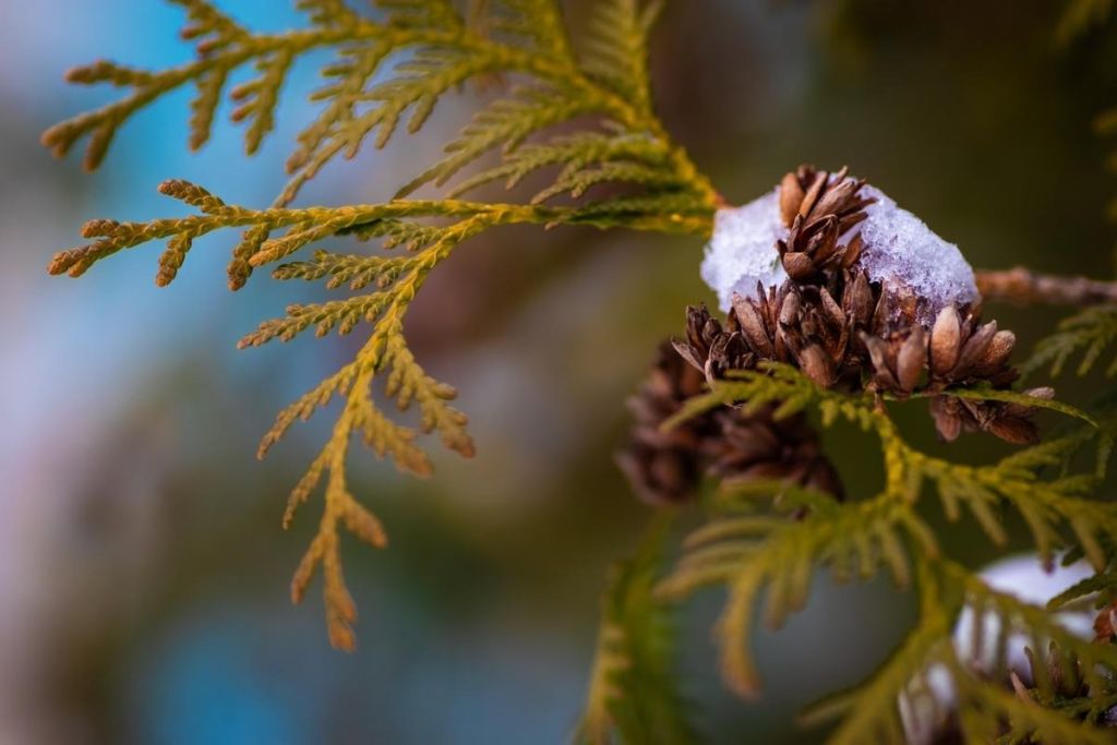 Синоптикиня розказала, коли в Україні почне теплішати