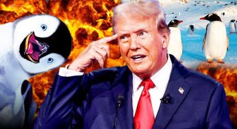 У США пояснили мита Трампа на острови з пінгвінами