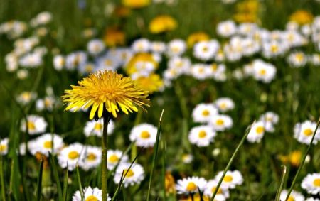 Арктичний холод та літні грози: українців попередили про погодні гойдалки у травні