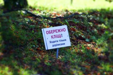 В Україні почалася навала кліщів: вже фіксують серйозні укуси та зараження, як захиститися