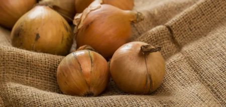 В Україні очікується здешевлення популярного овочу: скільки коштуватиме в супермаркетах