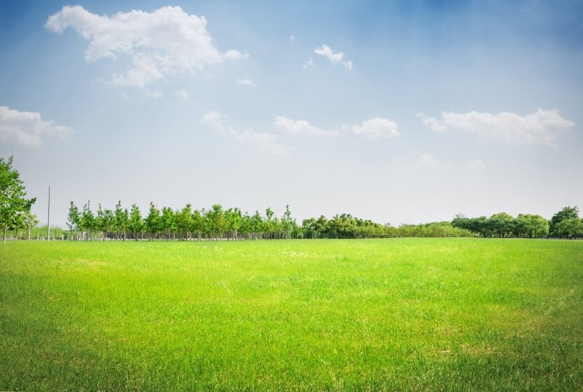 Оренда землі під час воєнного стану: як працює спрощений порядок