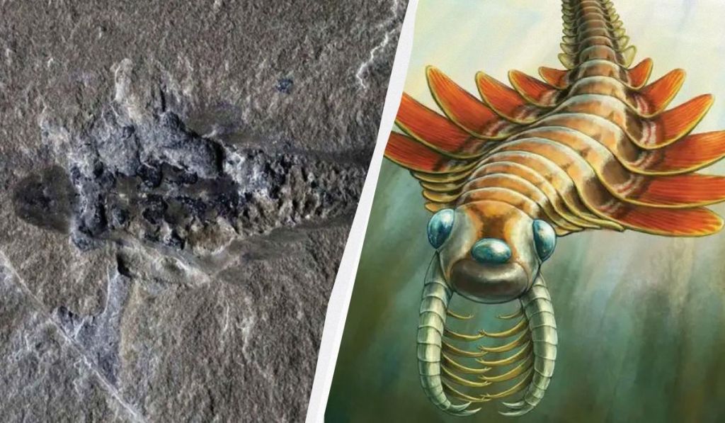 Учені знайшли дивного морського хижака з трьома очима й шипами