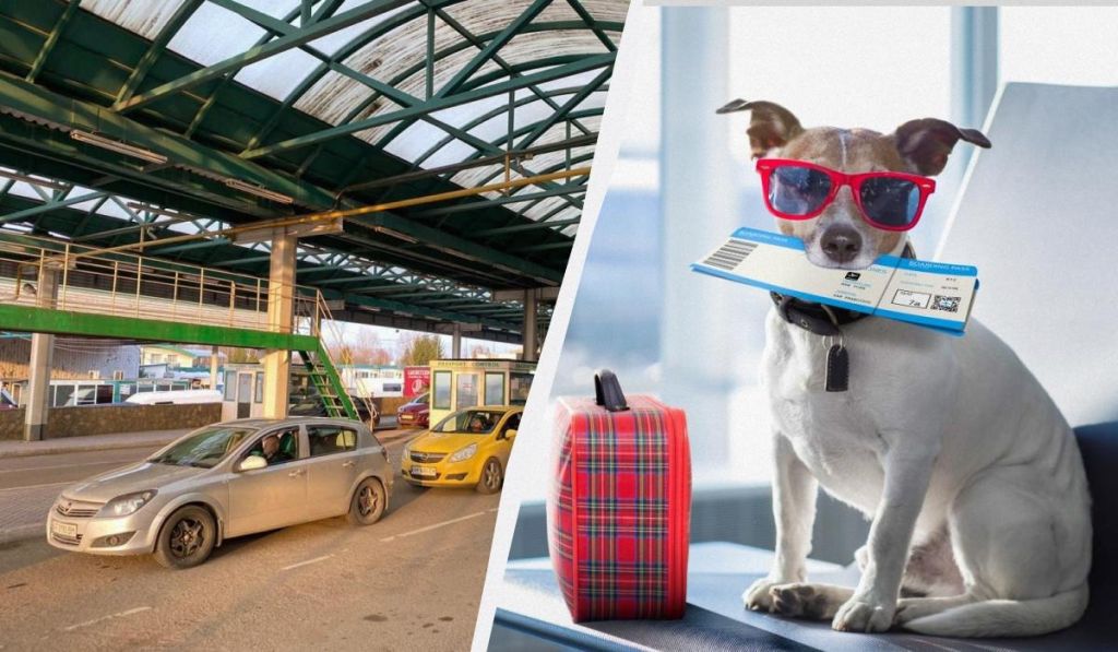 Українцям нагадали правила подорожей з домашніми улюбленцями за кордон