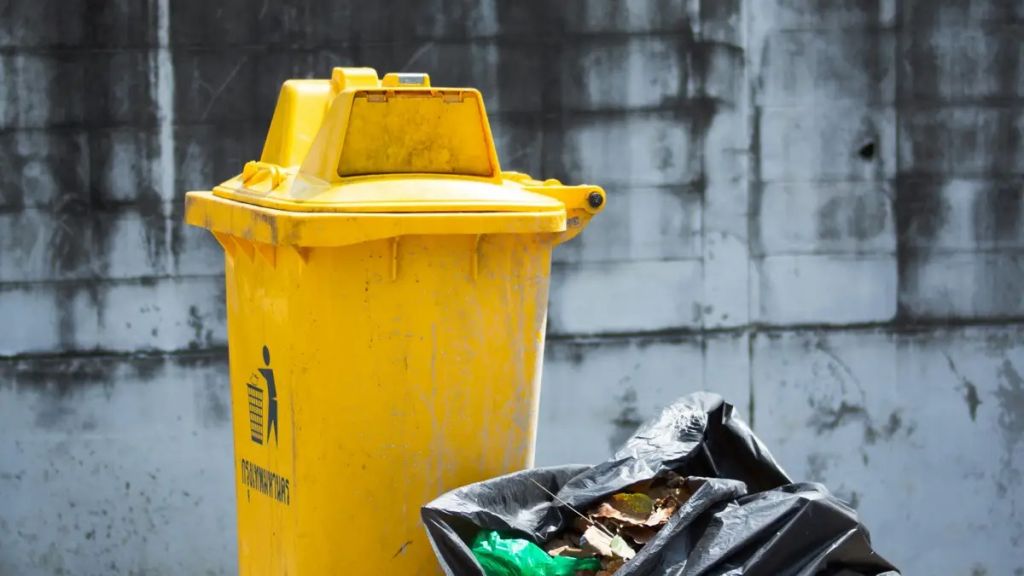 Картину легендарного художника знайшли на смітнику: як вона виглядає і скільки коштує