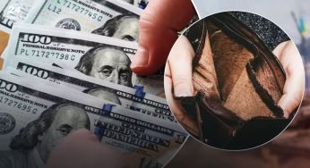 Не в доларах і не в євро: у чому вигідно зберігати гроші українцям у 2025 році