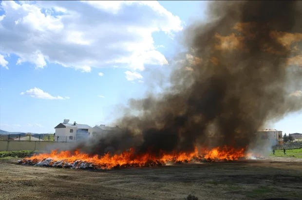 У Туреччині поліцейські спалили марихуану і випадково накурили місто з 25 000 людей: 5 днів не могли відійти