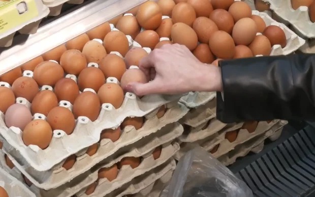 Яйця знову б’ють по кишені: ціна злетіла майже вдвічі — коли чекати здешевлення