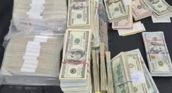 Українська пара сховала $1,4 мільйона під одягом і намагалась ввезти до Румунії