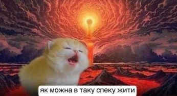 Кондиціонер – бог, вода – спасіння: українці вибухнули мемами через літню спеку