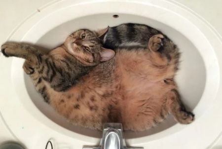 Тисячі мешканців багатоповерхівок платять за воду більше: як і коли знижуватимуть ціни