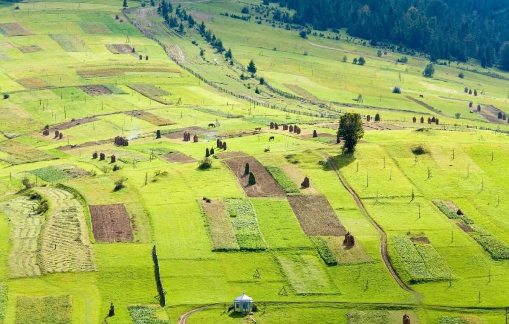 Суборенда держземлі б’є рекорди: ціна зросла до 30 тис. грн за гектар