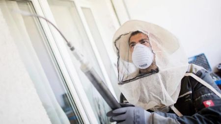 У США виявили радіоактивних ос біля колишнього ядерного об’єкта