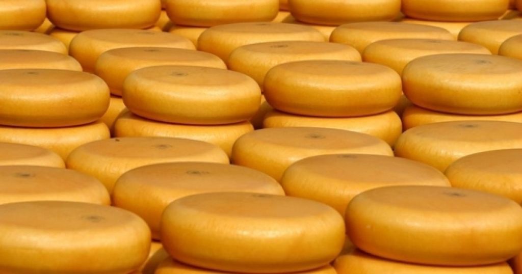 Сирна навала: Європа “завалює” Україну своїм продуктом – імпорт б’є рекорди