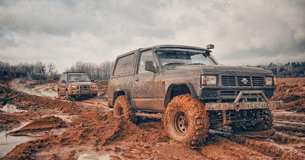 В Україні нові штрафи для водіїв: до 9 тисяч за проїзд заповідними зонами