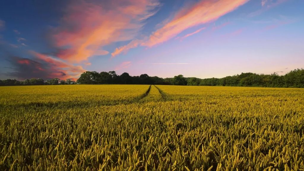 До України йде спека з півдня Європи: якою буде погода на вихідних