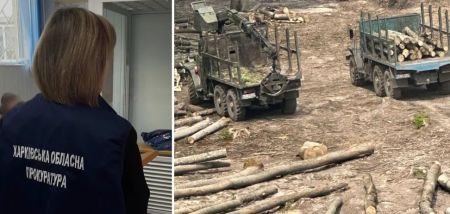 Виплати, фортифікації та земля: на Харківщині виявили корупцію на 233 млн грн