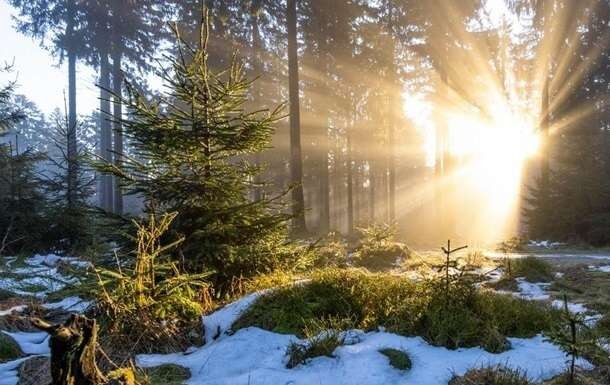 До якого року в Україні зникнуть зими: кліматолог приголомшила прогнозом