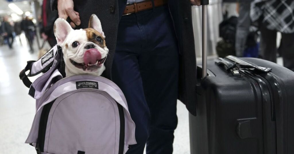 В яку країну мріють переїхати біженці зі всього світу: це не США