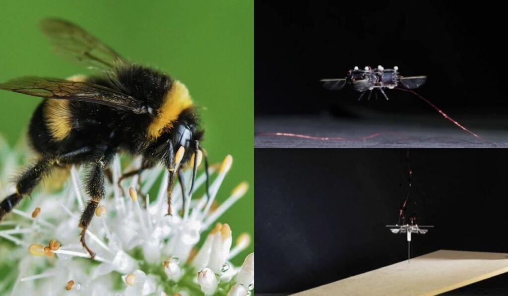 У США розробили робота-джміля, який може літати навіть на Марсі