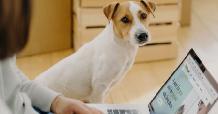 Працівник зазнав тиску на роботі: які компенсації передбачені законом