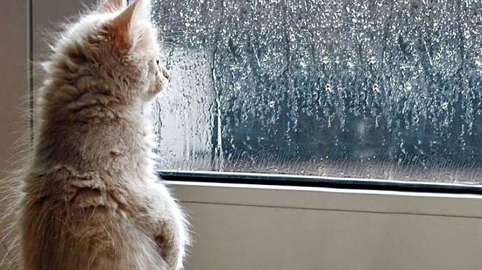 Похолодання та дощі: прогноз погоди в Україні на 24 вересня