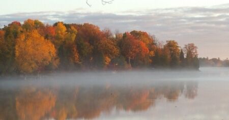 Холодні ночі та дощі: прогноз погоди в Україні на 29 вересня