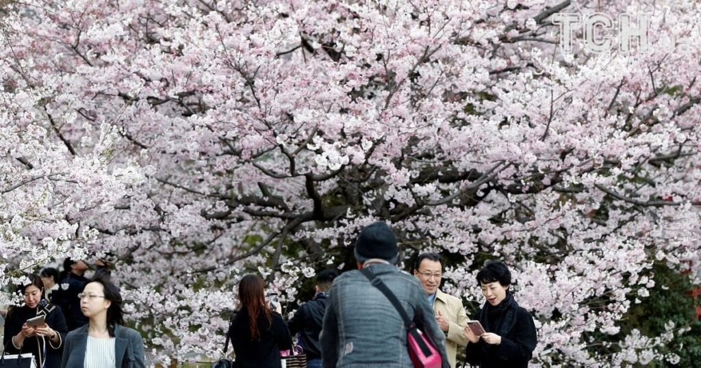 У Японії тисячі людей живуть довше 100 років: у чому секрет рекордного довголіття