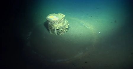 Тисячі бочок на дні Тихого океану: що вони приховують і чому небезпечні