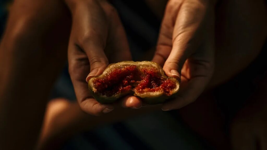 Чи правда, що в інжирі можна знайти мертвих ос