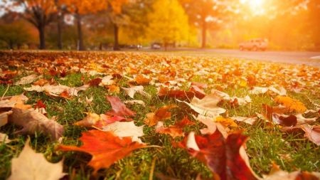 Майже бабине літо: відома синоптикині потішила українців прогнозом на 30 жовтня