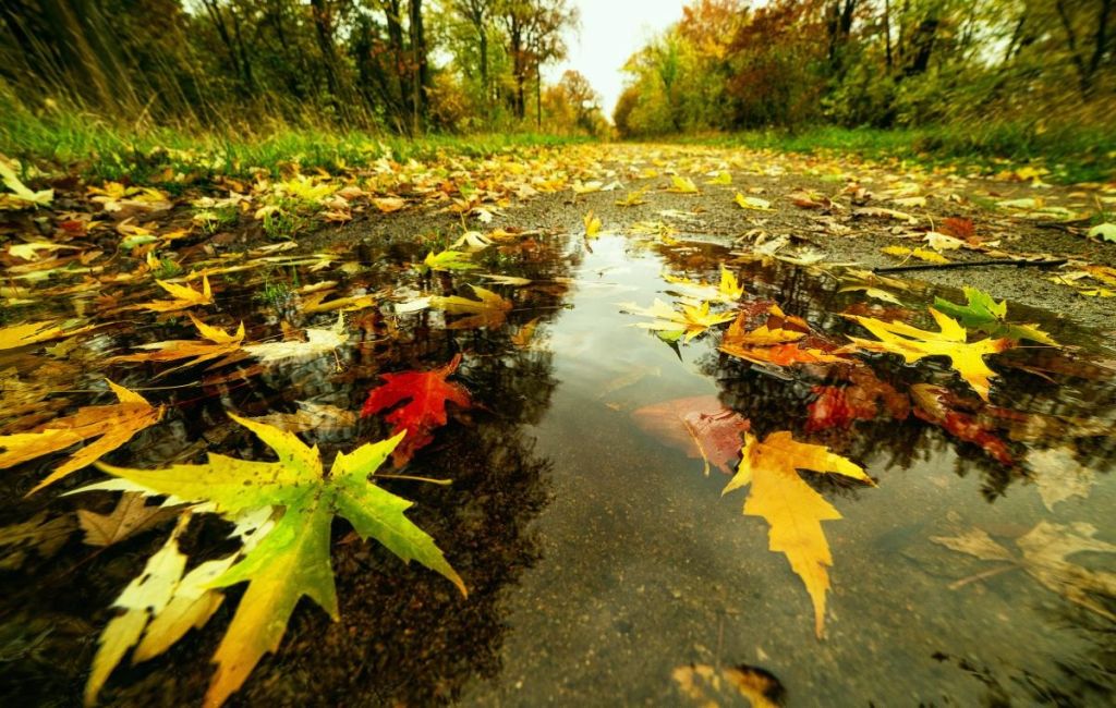 Дощі не припиняються: 11 жовтня по всій Україні буде мокро